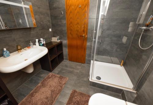 een badkamer met douche, wastafel en toilet bij Haus Thomas Penthouse Deluxe in Dortmund