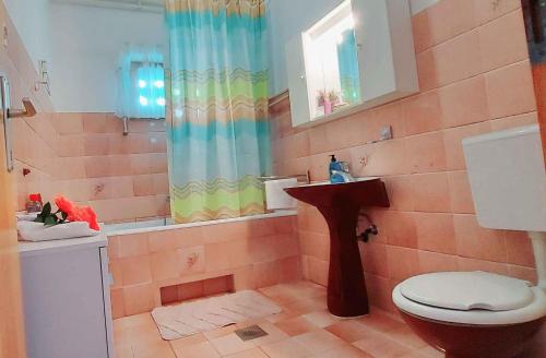 Un baño con inodoro y ducha en Apartment in Dobrinj - Insel Krk 45222, en Soline