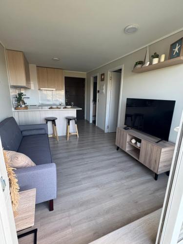 TV/trung tâm giải trí tại Departamento Viña del Mar - Cerro Placeres