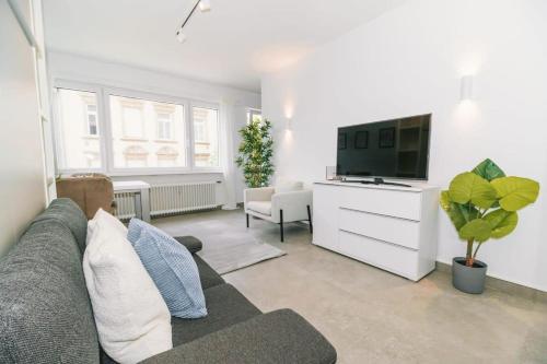 een woonkamer met een bank en een tv bij Stylish Studio in the Heart of Luxembourg City in Luxemburg