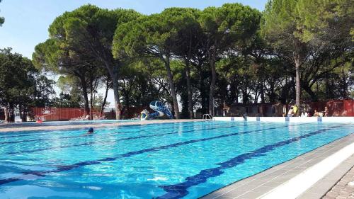 a large swimming pool with blue water and trees at Mobilehome in Belvedere Grado 53452 in Belvedere