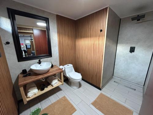 a bathroom with a sink and a toilet and a shower at Motherhome in Melipilla