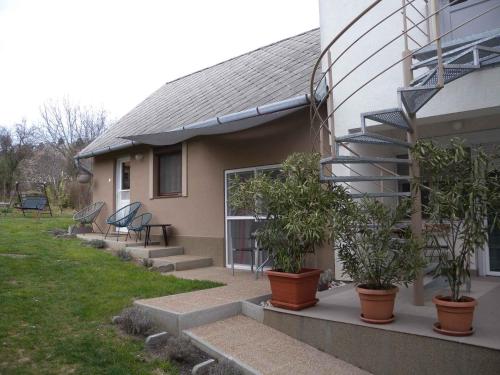 a house with potted plants in front of a building at Apartments in Balatongyörök 34590 in Balatongyörök