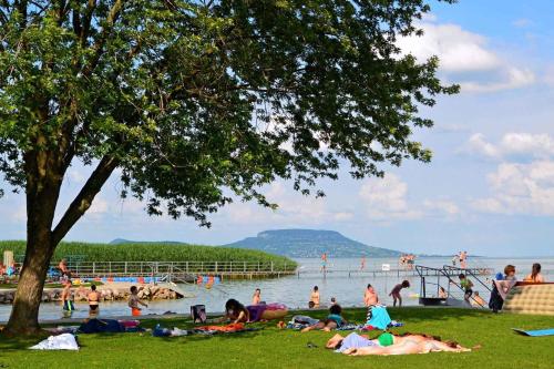 a group of people laying on the grass at the beach at Apartments in Balatongyörök 34590 in Balatongyörök