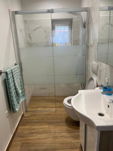 a bathroom with a shower and a toilet and a sink at Apartments with parking space Mirca, Brac - 729 in Supetar
