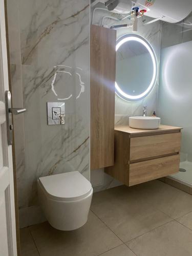 een badkamer met een toilet, een wastafel en een spiegel bij Chambre privée design, 8 min du Parc des Prince et de Roland Garros et à 4 min du métro 9 in Boulogne-Billancourt