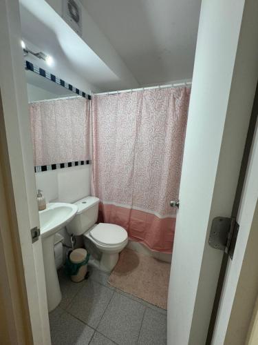 um banheiro com vaso sanitário e pia em Condominio Viña Oriente 2 em Viña del Mar