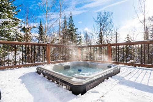 Fiddler Lake Resort Chalet 84 Deer v zimě