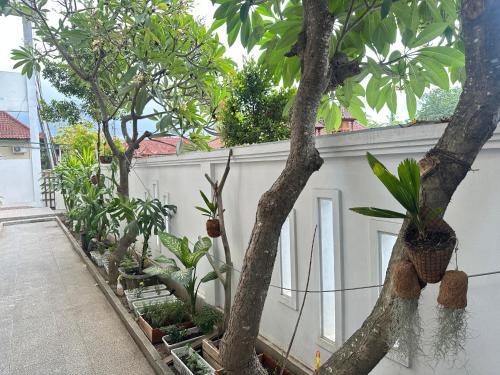 SampalanにあるLittle White Pavilionの白柵の並木