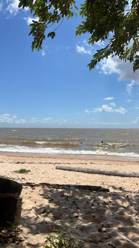 a beach with people in the water and a tree at Chalé Praia Doce in Belém