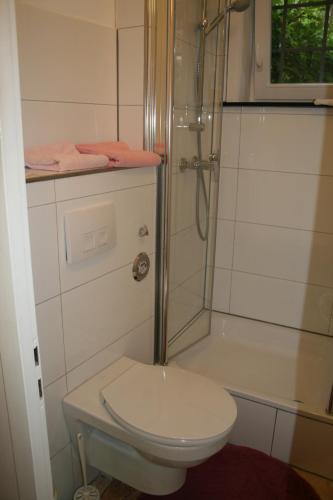 a bathroom with a toilet and a shower at Das Hanse Quartier in Hamburg