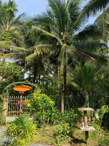 a garden with a palm tree and a bench at Bến Tre Homestay in Ben Tre