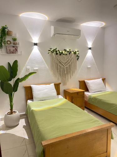 a bedroom with two beds and a potted plant at Shark house dahab in Dahab