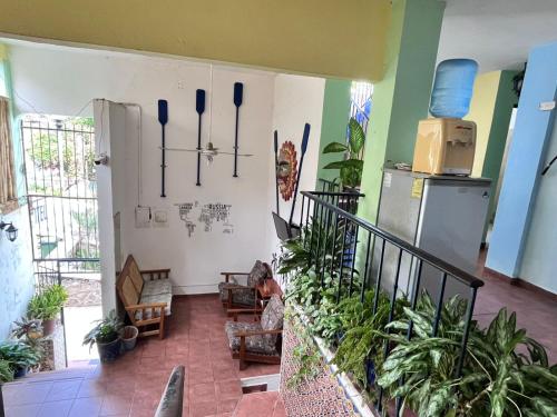 Afbeelding uit fotogalerij van MayFlower Hotel & Hostal in Puerto Escondido