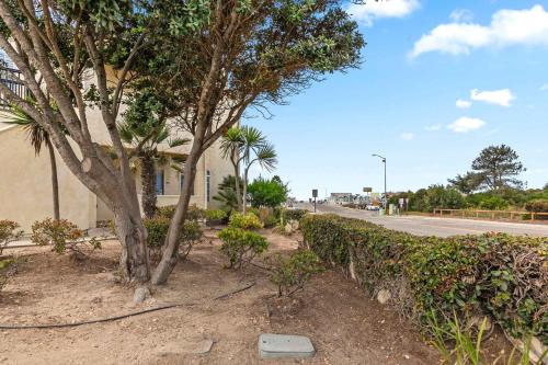 a tree next to a street with a building at Eye Sea in Oceano