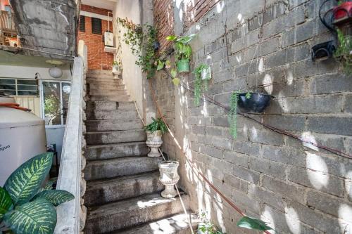 a brick wall with stairs and plants on it at Cómodo y acogedor departamento in Oaxaca City