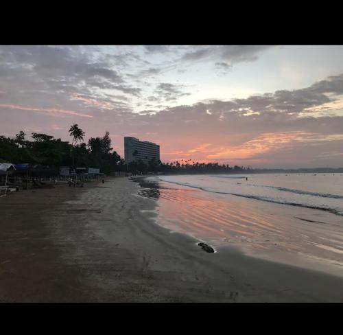 Příroda nedaleko vily