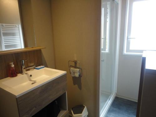 une salle de bain avec lavabo et douche dans l'établissement Chalet neuf avec piscine couverte, proche mer, calme et sécurisé - 6 personnes - FR-1-777-8, à La Parée Preneau