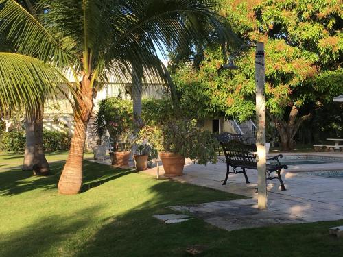a park with a bench next to a palm tree at Beryls at Seawind on the Bay , Montego Bay , Jamaica in Montego Bay