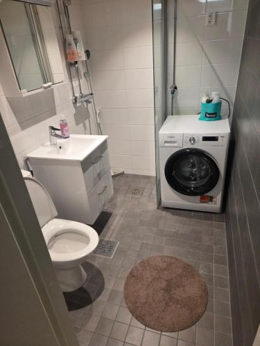 a bathroom with a toilet and a washing machine at Cozy studio in the city center in Rovaniemi