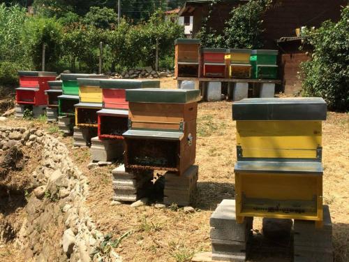 a row of colorful beehives sitting on the ground at Agriturismo Terrarossa in Pistoia