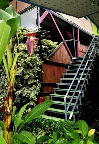 Κήπος έξω από το Kai Bae Loft