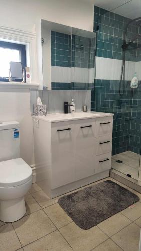 a bathroom with a white toilet and a shower at Magpie and Stump Hotel 'Nest Accommodation' and 1km offsite 'Loft 7' Studio in Mintaro