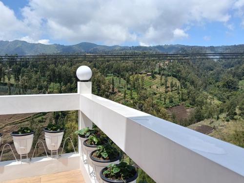 Fotografie z fotogalerie ubytování Pulmo Guesthouse Bromo v destinaci Ngadisari