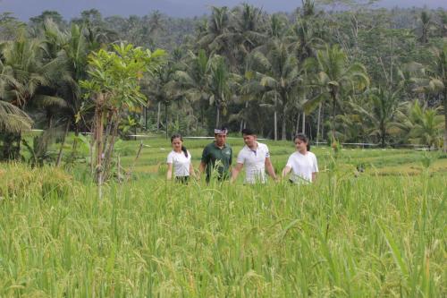 Gæster der bor på Dhanya Villa Lovina by Parigata