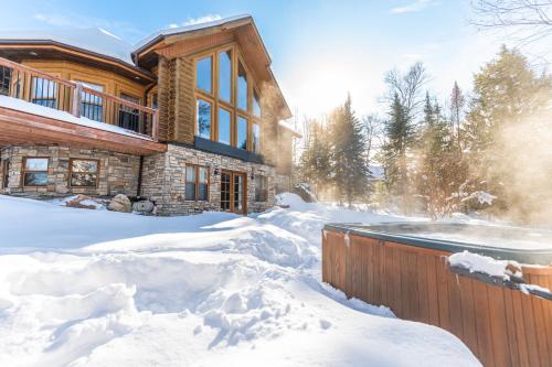 Fiddler lake Resort Chalet 86 Deer v zimě