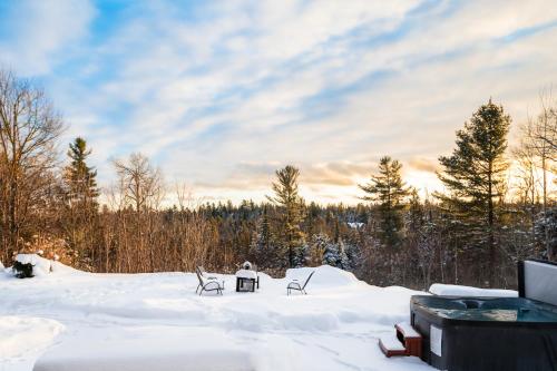 Fiddler Lake Resort Chalet 81 Deer v zimě
