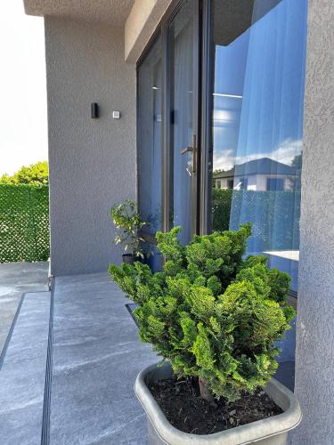 Afbeelding uit fotogalerij van Riverside Cotagge in Poti