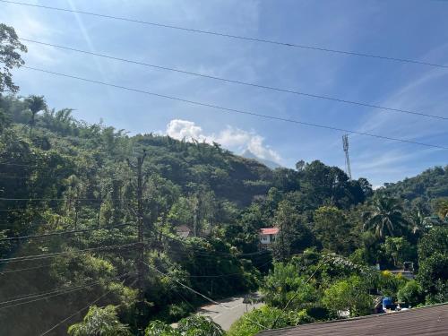 Gallery image of Severn Valley Jungle Villa in Vayittiri