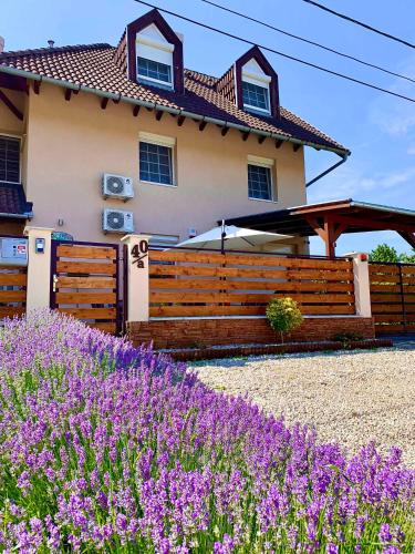 Apartments in Siofok - Balaton 51876