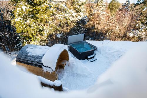 Fiddler Lake Resort Chalet 87 Deer v zimě