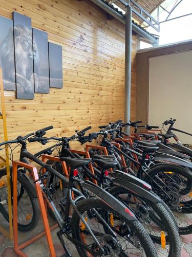 a bunch of bikes lined up against a wall at Guest house Amirhan in Bokonbayevo