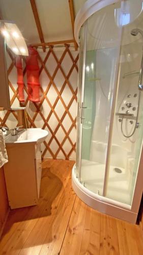 a bathroom with a shower and a sink at Gîte 87G7850 in Saint-Mathieu