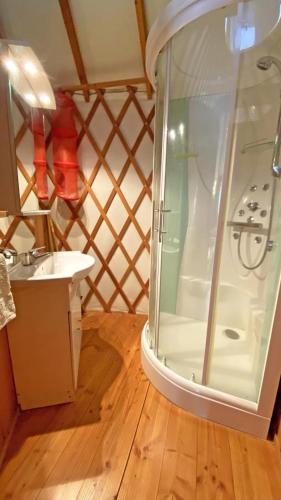 a bathroom with a shower and a sink at Gîte 87G7852 in Saint-Mathieu