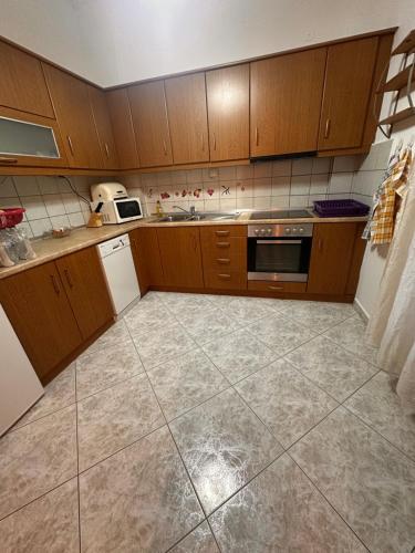 una cucina con armadi in legno e pavimento piastrellato di Dry plaza zoi a Xiropótamos