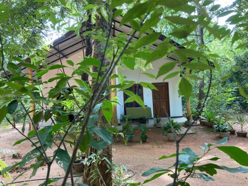 Aed väljaspool majutusasutust Joy Land Resort