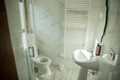 a white bathroom with a toilet and a sink at Craii Neamtului in Almaş