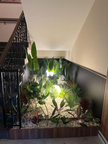 Blackhan Palace Hotel