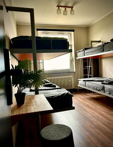a room with two bunk beds and a desk with a plant at Jugendgästehaus Laubach in Laubach