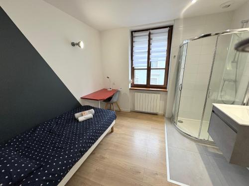 d'une salle de bains avec douche, d'un lit et d'un bureau. dans l'établissement Le Domaine Gabriel 3 Suites privées, à Mulhouse