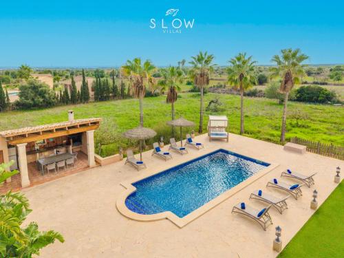 an overhead view of a swimming pool with chairs and umbrellas at Villa Es Contes by Slow Villas in Santanyi