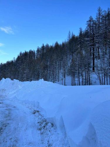 Apartments in Sestriere - Piemont 43498 v zimě