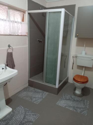 a bathroom with a shower with a toilet and a sink at Carpe Diem in Brakpan