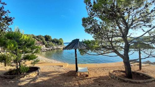 Apartments in Krk - Insel Krk 43949