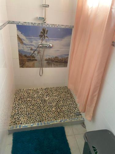 a bathroom with a shower with a pebblekered floor at Hébergement Maison -Les Abymes in Les Abymes