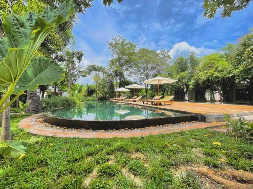 صورة لـ The Forest في سيام ريب